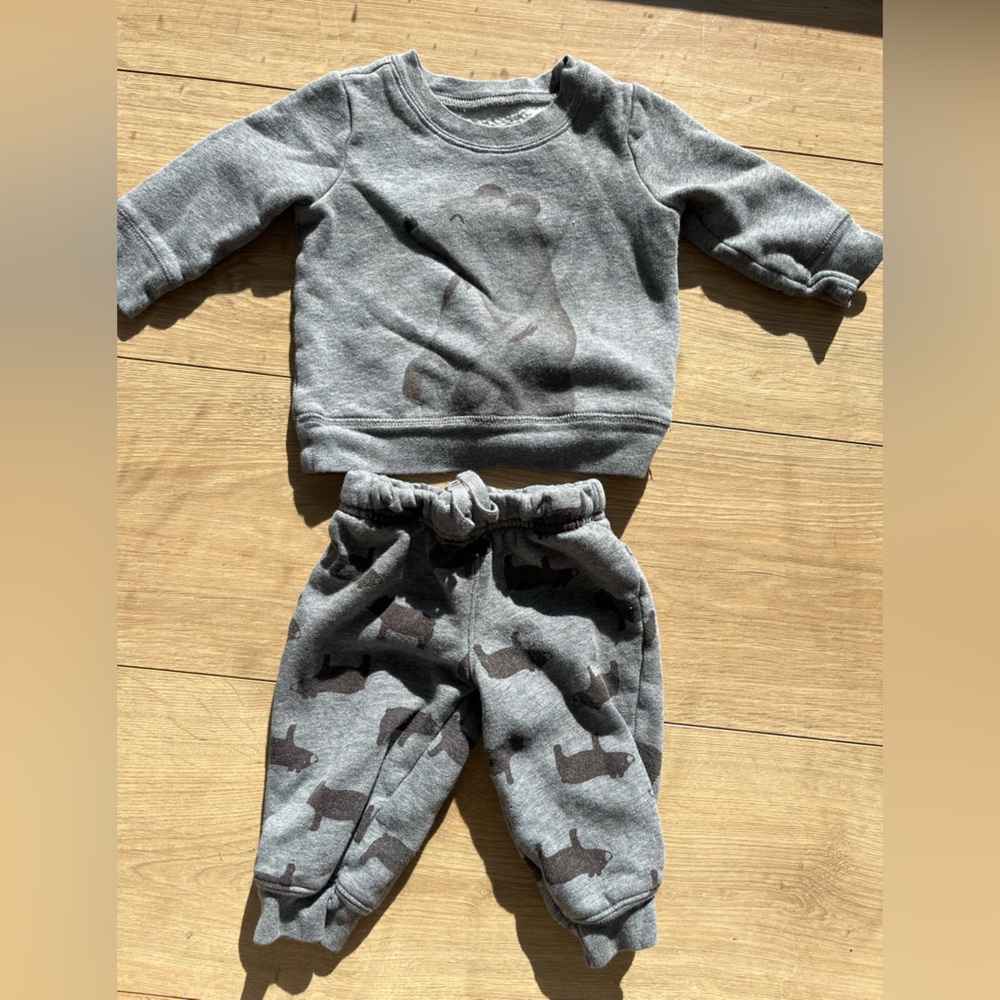 Bear sweat suit